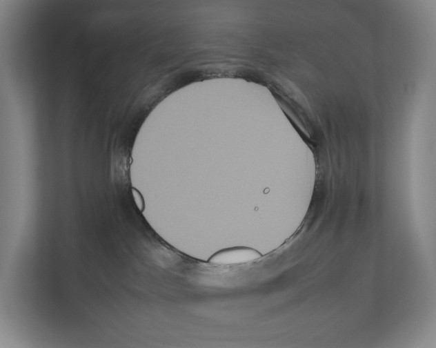 X0000111810045200908201119