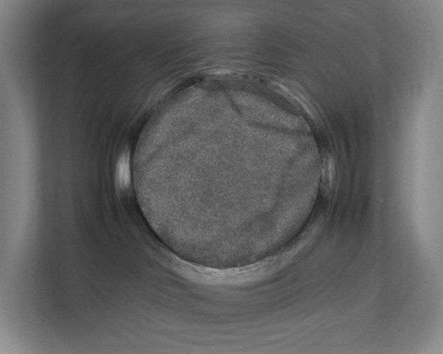 X0000111810046200908201119