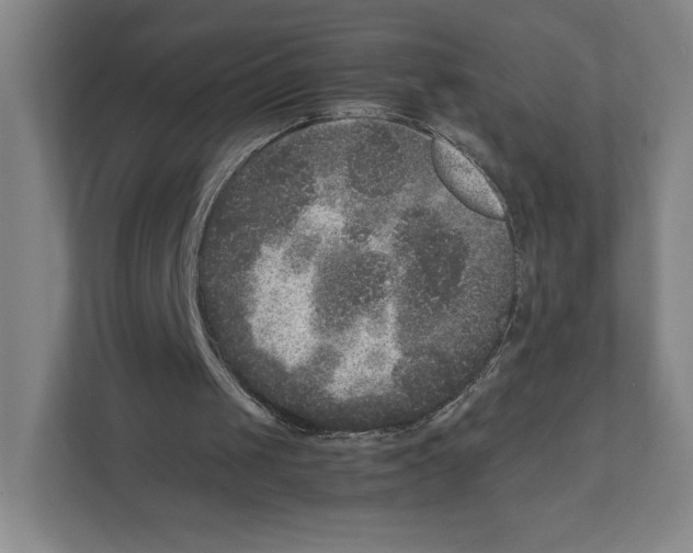X0000111810049200908201119