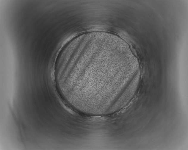 X0000111810050200908201119