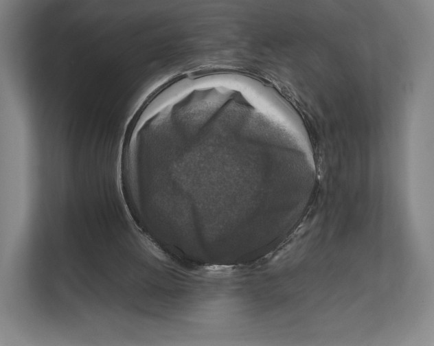 X0000111810052200908201119