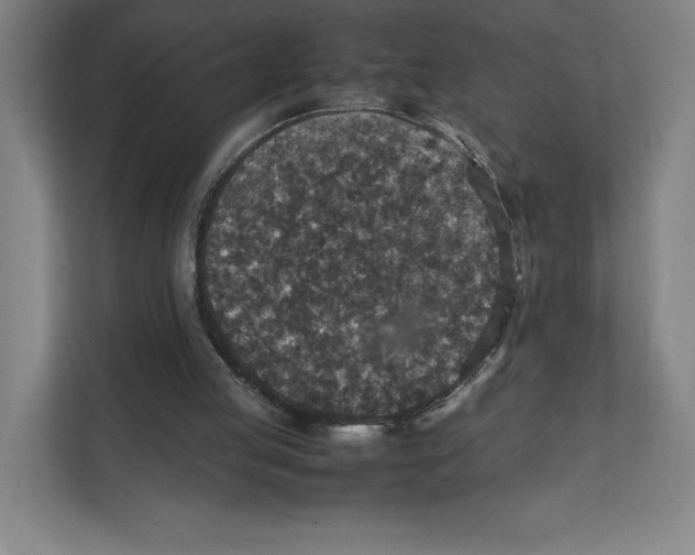 X0000111810053200908201119