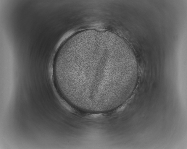 X0000111810054200908201119
