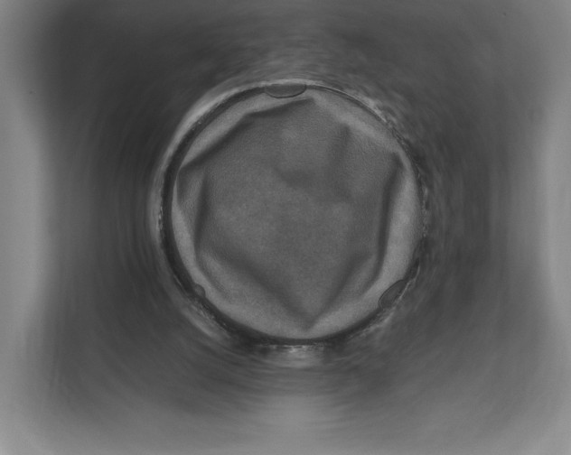 X0000111810056200908201119