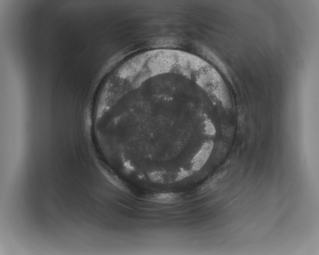 X0000111810059200908201119