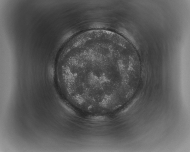 X0000111810063200908201119