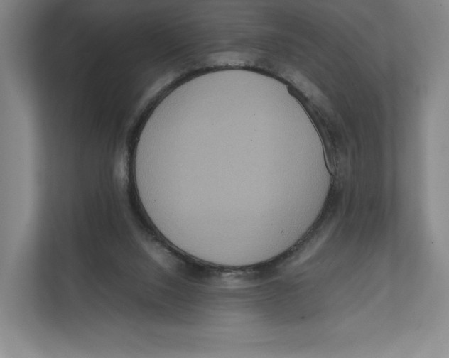 X0000111810064200908201119