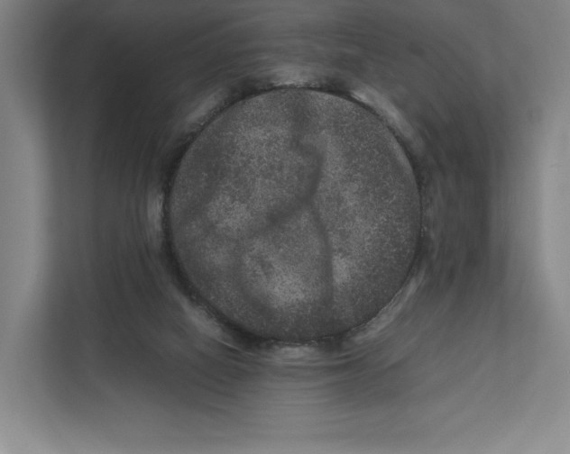 X0000111810066200908201119