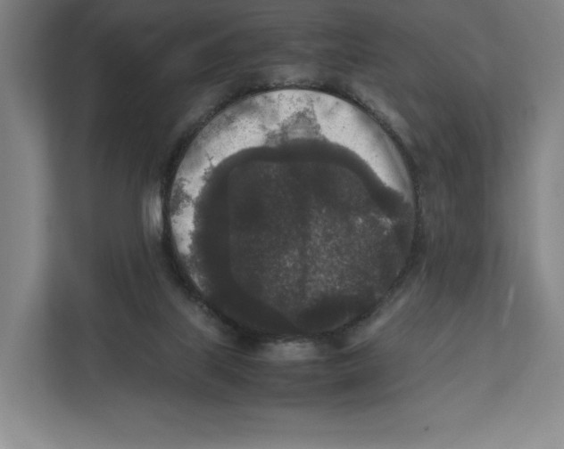 X0000111810067200908201119