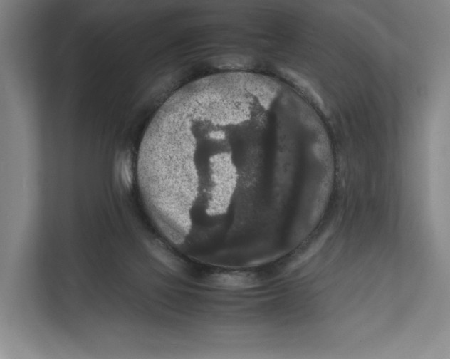 X0000111810069200908201119