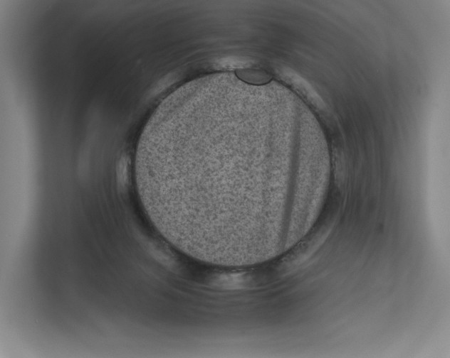 X0000111810071200908201119