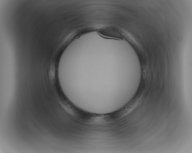 X0000111810072200908201119