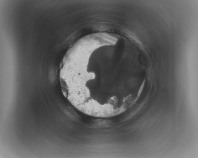 X0000111810073200908201119