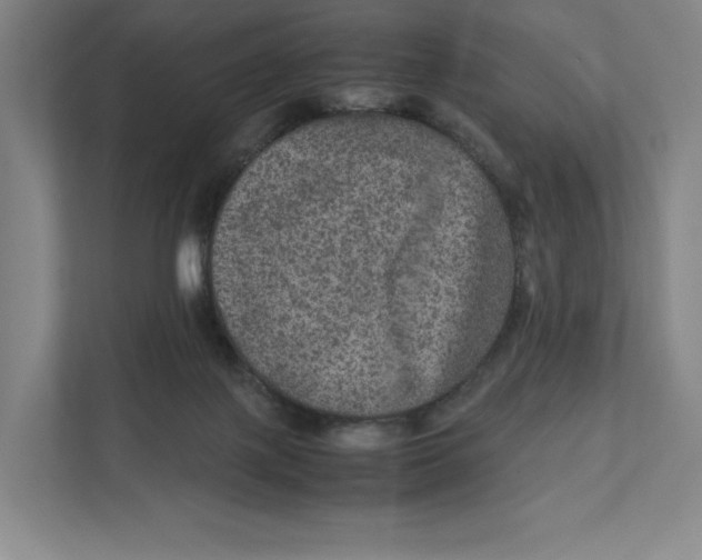 X0000111810075200908201119