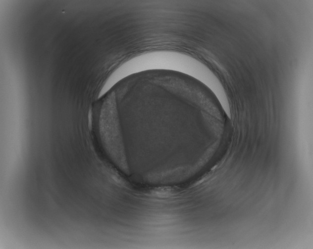 X0000111810076200908201119