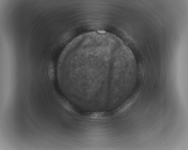 X0000111810080200908201119