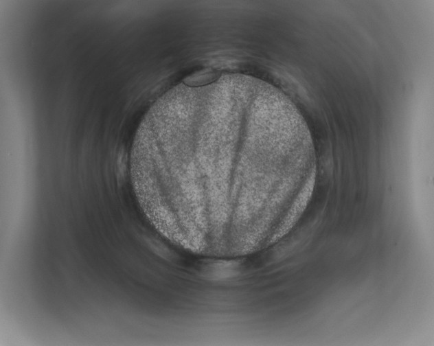 X0000111810081200908201119