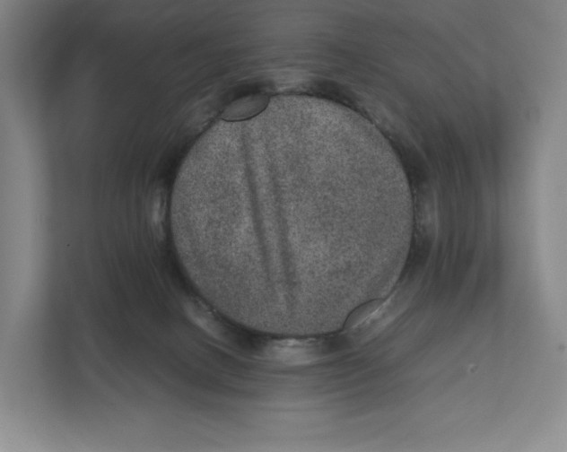 X0000111810082200908201119