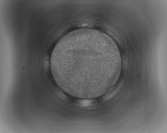 X0000111810085200908201119