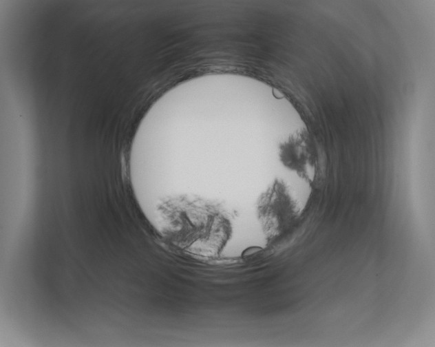 X0000111810089200908201119