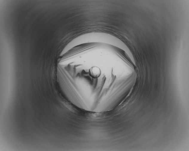 X0000111810092200908201119