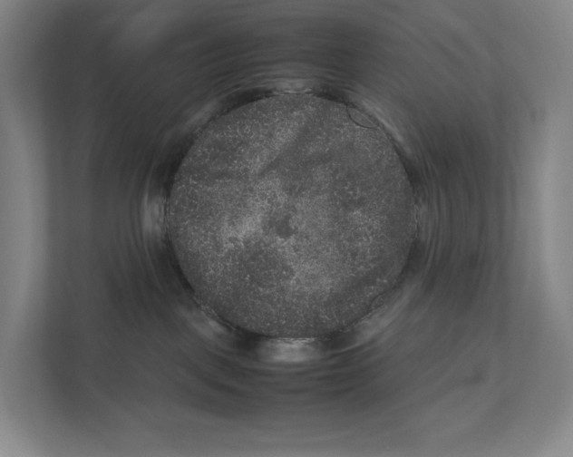 X0000111810093200908201119