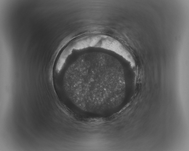 X0000111810099200908201118