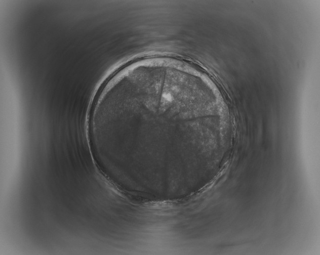 X0000111810100200908201118