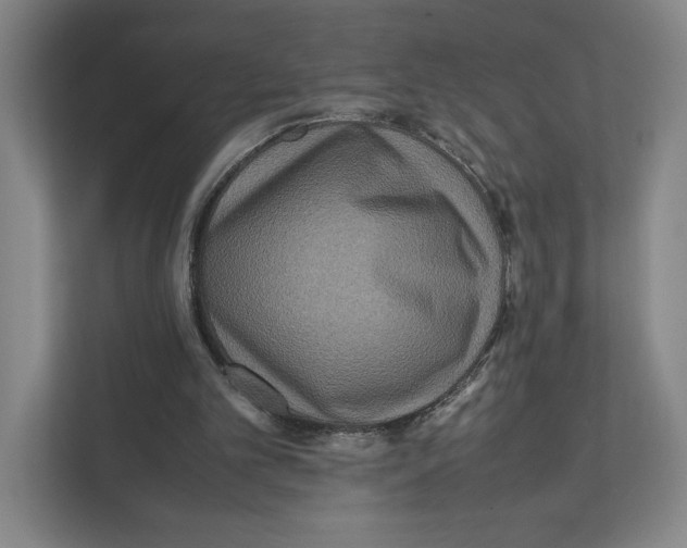 X0000111810101200908201118