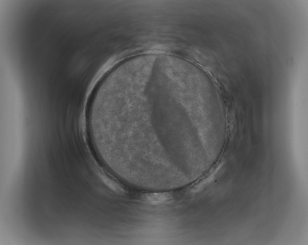 X0000111810102200908201118