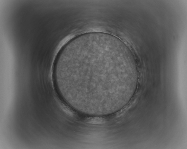 X0000111810104200908201118
