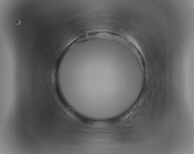 X0000111810105200908201118