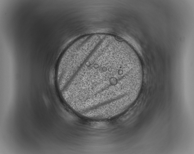 X0000111810107200908201118