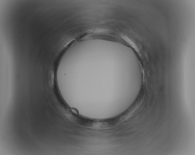 X0000111810109200908201118