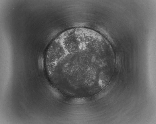X0000111810110200908201118