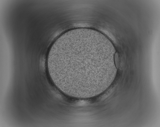 X0000111810111200908201118