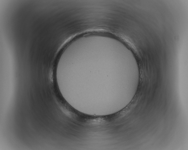 X0000111810112200908201118
