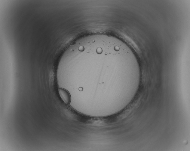X0000111810113200908201118