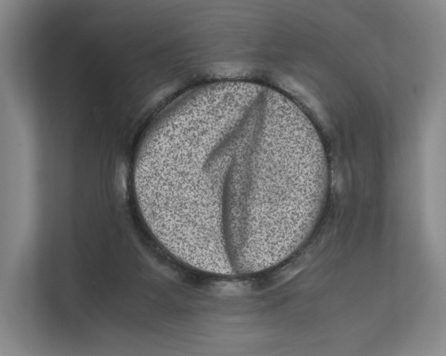 X0000111810115200908201118