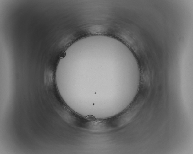 X0000111810117200908201118
