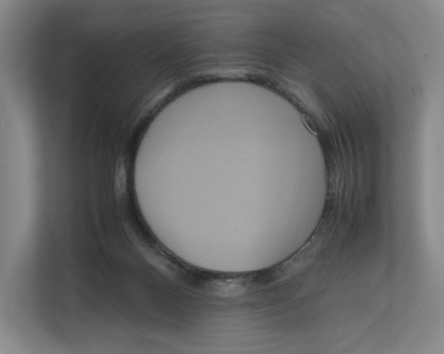X0000111810120200908201118
