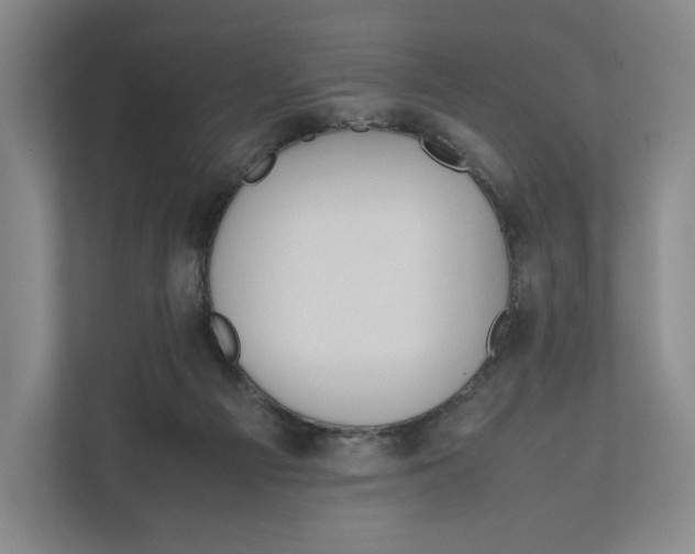X0000111810121200908201118