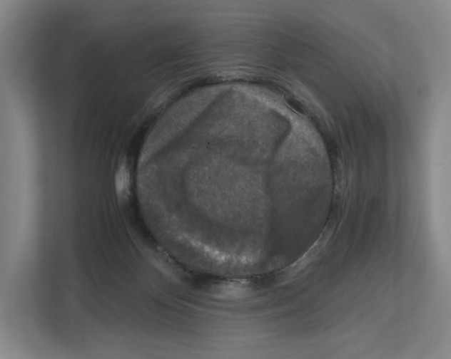 X0000111810124200908201118