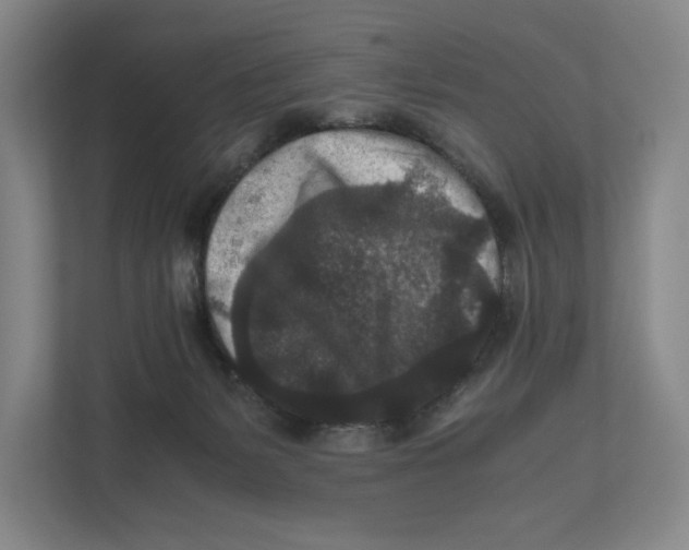 X0000111810127200908201118