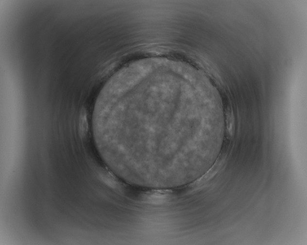 X0000111810128200908201118