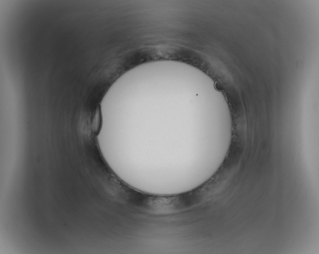 X0000111810129200908201118