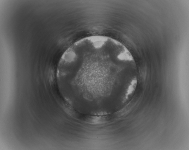 X0000111810130200908201118