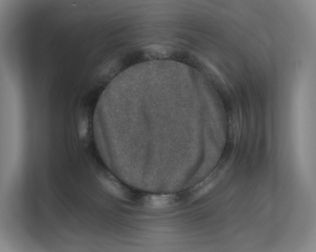 X0000111810134200908201118