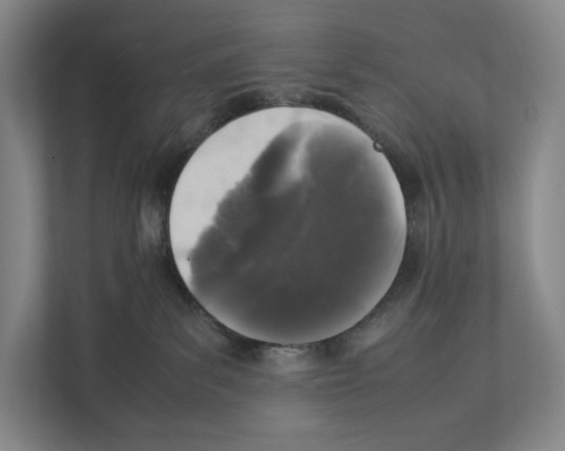 X0000111810139200908201118