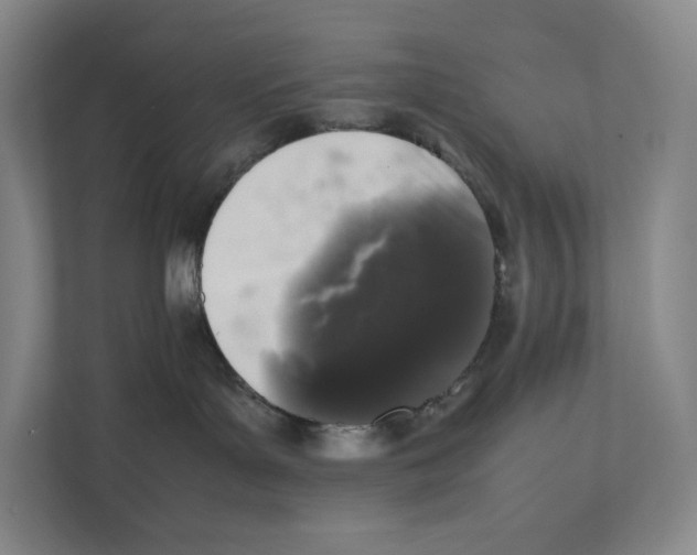 X0000111810143200908201118